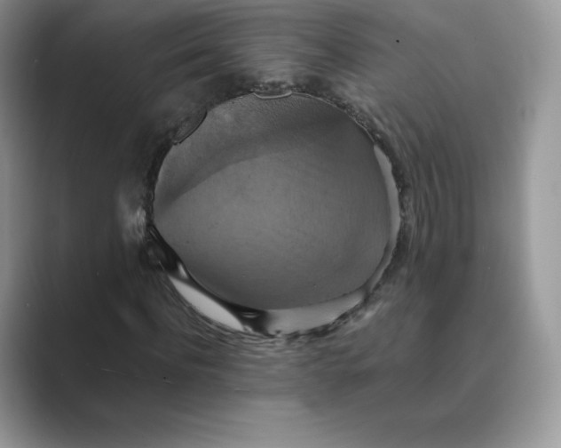 X0000089730916200707051736