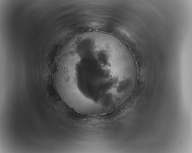 X0000089730917200707051736