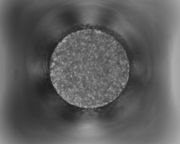 X0000089730918200707051736