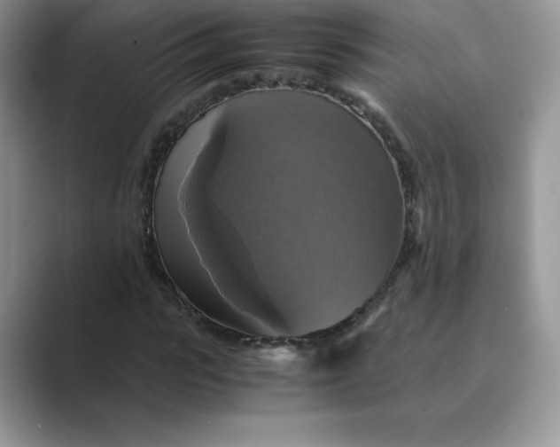 X0000089730919200707051736