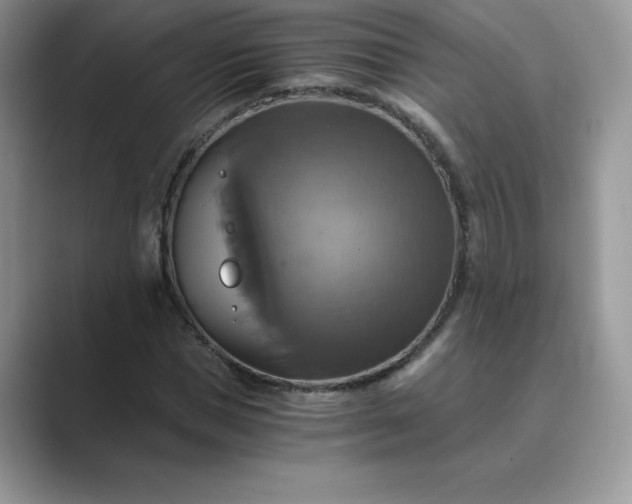 X0000089730921200707051736