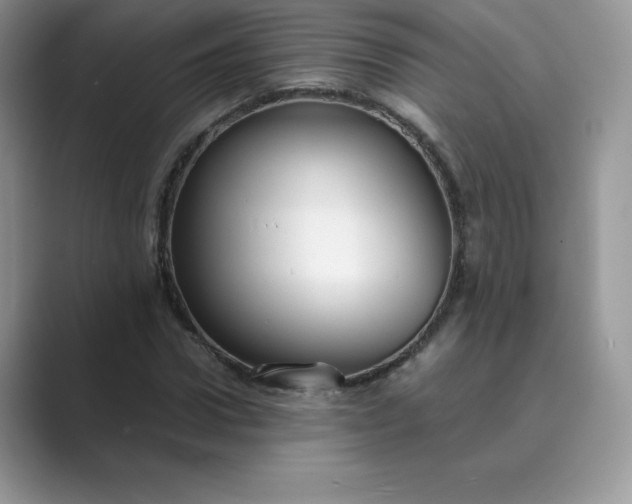 X0000089730922200707051736
