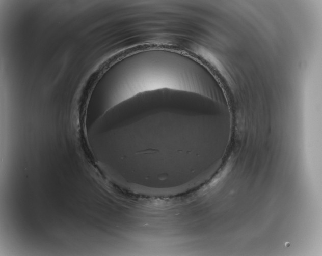 X0000089730923200707051736