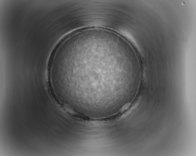 X0000089730924200707051736