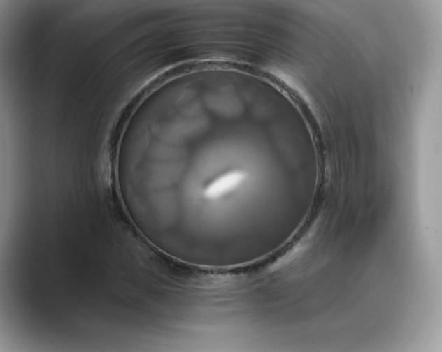 X0000089730925200707051736