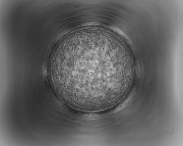 X0000089730929200707051736
