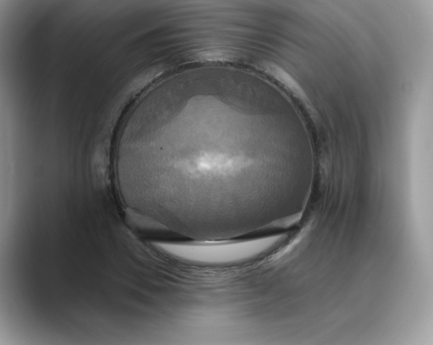 X0000089730930200707051736
