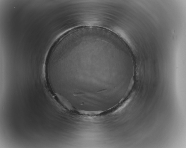 X0000089730932200707051736