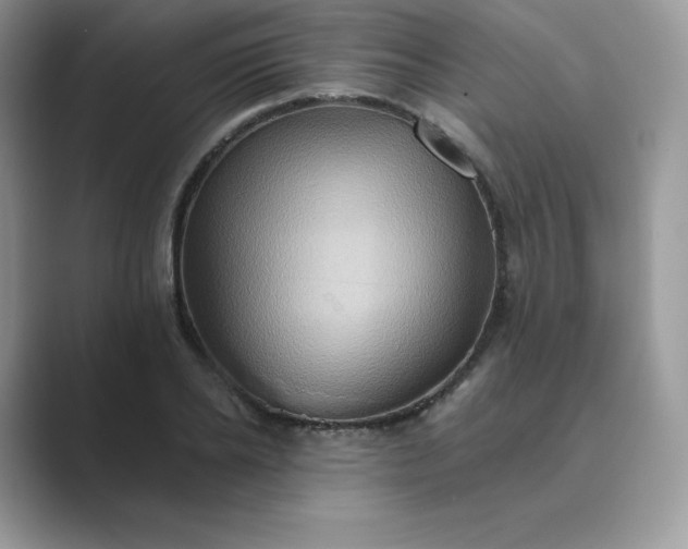 X0000089730934200707051736