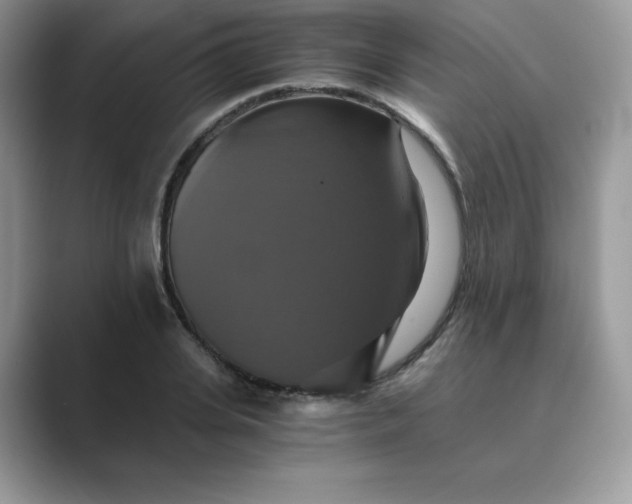 X0000089730935200707051736