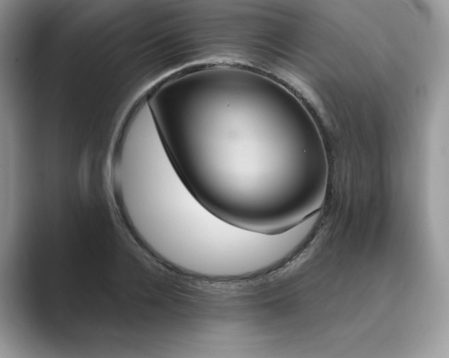 X0000089730936200707051736