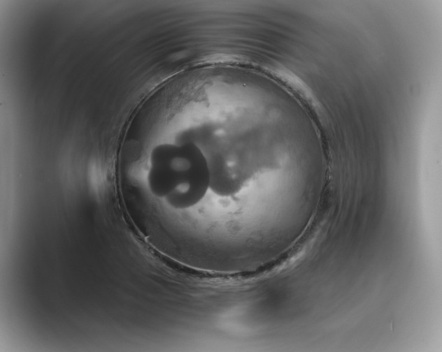 X0000089730937200707051736