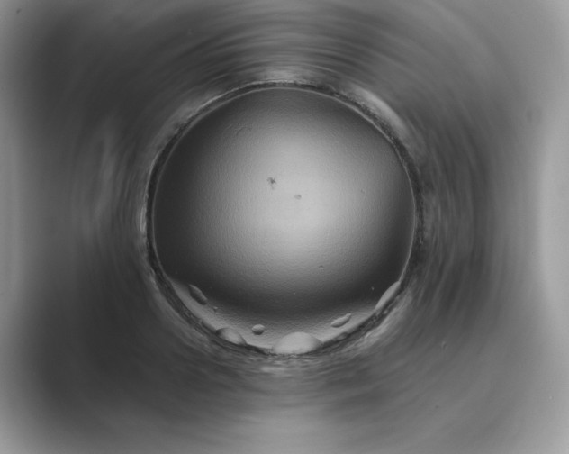 X0000089730938200707051736
