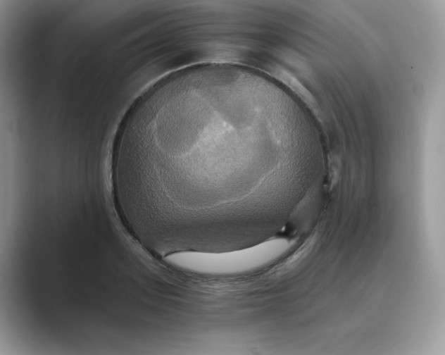 X0000089730939200707051736