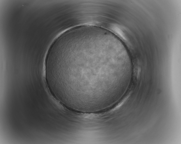 X0000089730940200707051736