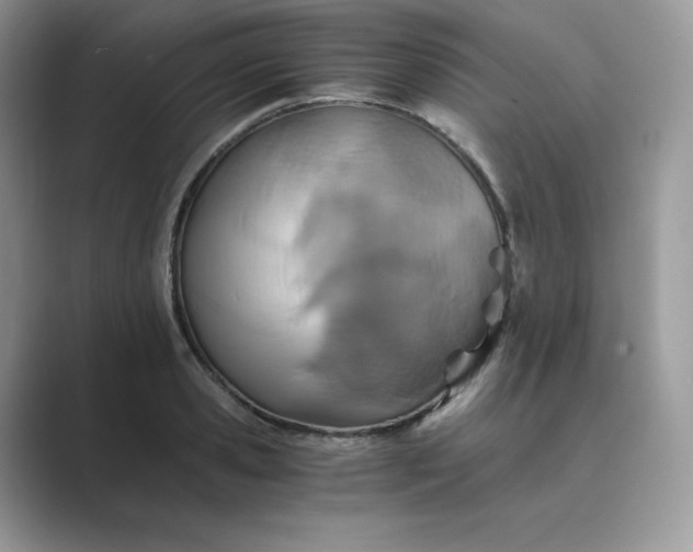 X0000089730941200707051736