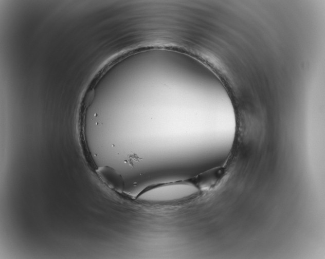 X0000089730942200707051736