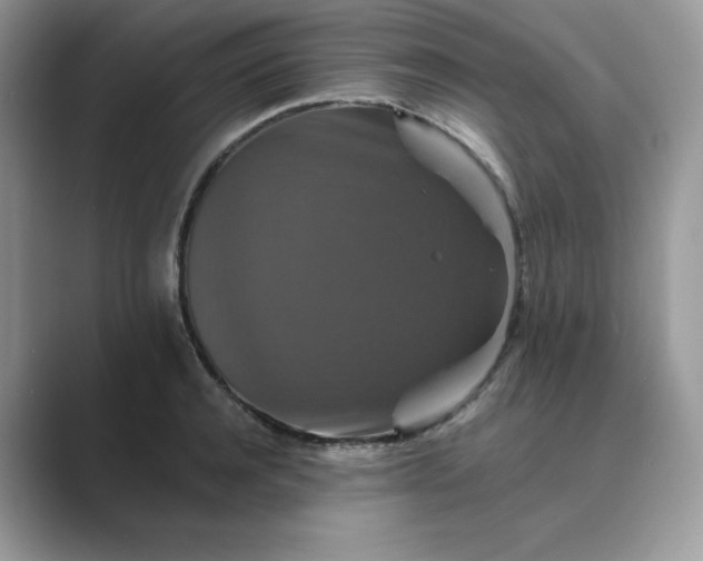 X0000089730944200707051736