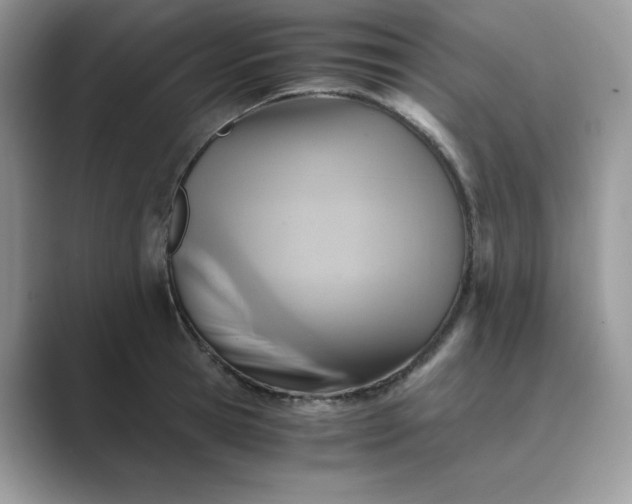 X0000089730945200707051736