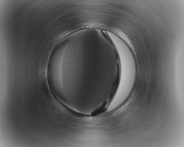 X0000089730946200707051736