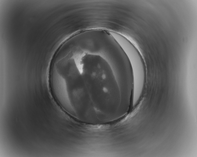 X0000089730949200707051736