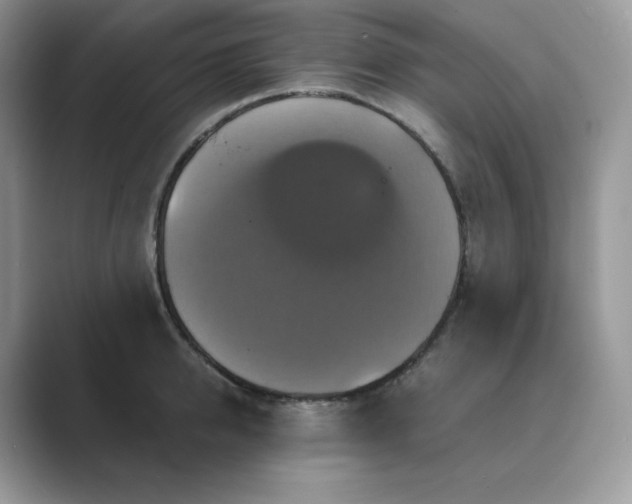 X0000089730950200707051736