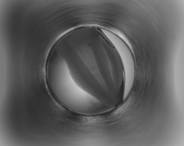 X0000089730951200707051736