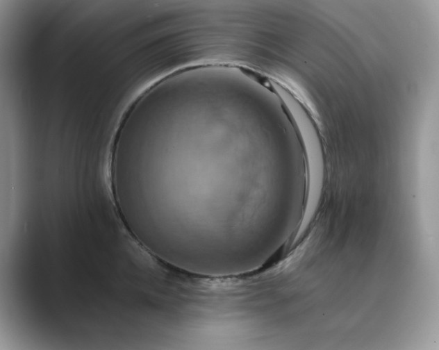 X0000089730952200707051736