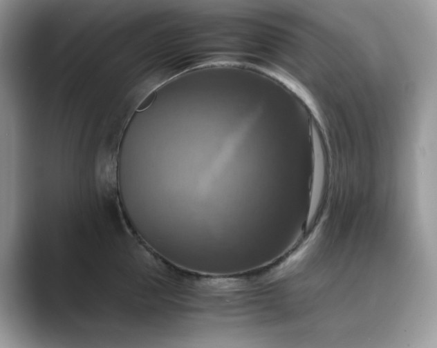 X0000089730953200707051736