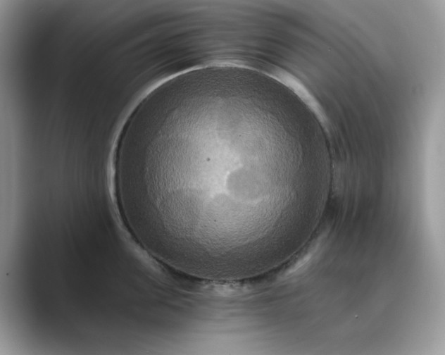 X0000089730955200707051736