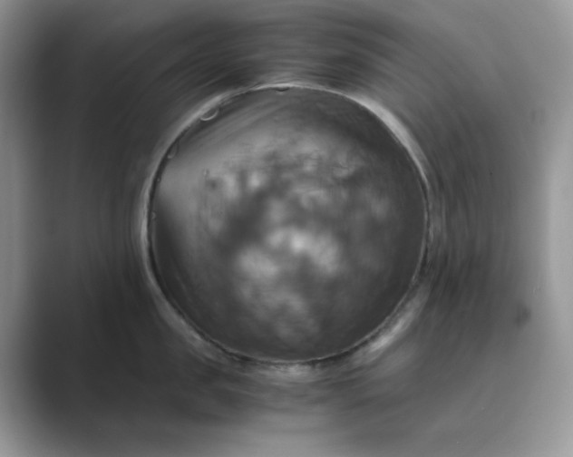 X0000089730957200707051736