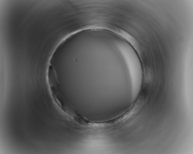 X0000089730958200707051736