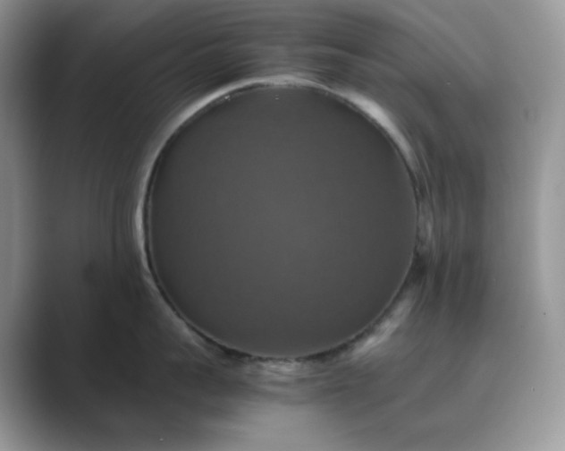X0000089730959200707051736