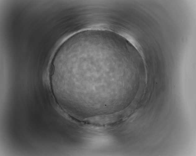 X0000089730960200707051736