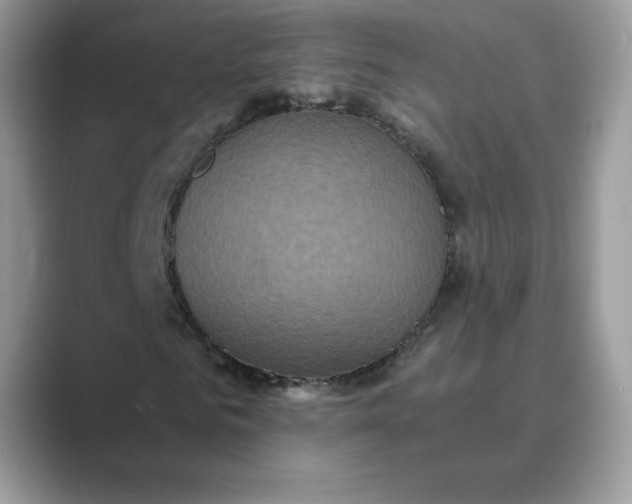 X0000089730961200707051736