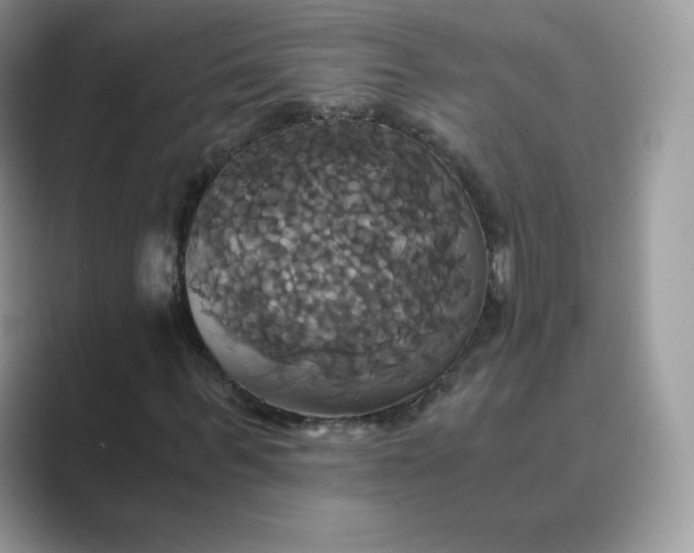 X0000089730963200707051736