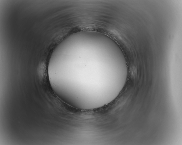 X0000089730964200707051736