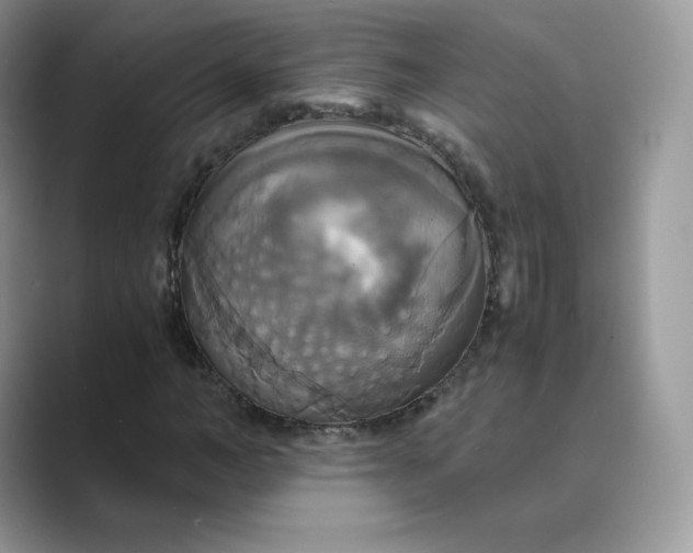 X0000089730966200707051736