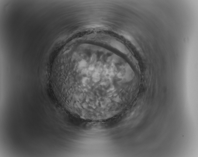 X0000089730967200707051736