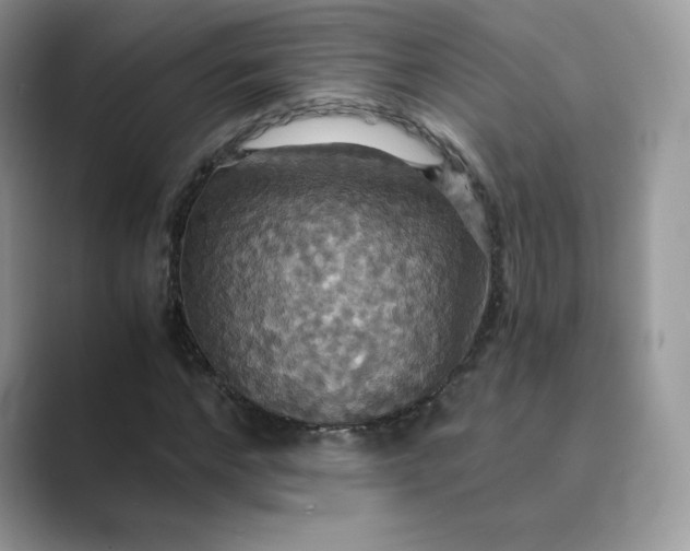 X0000089730968200707051736
