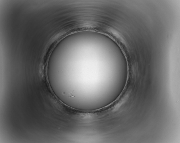 X0000089730970200707051736