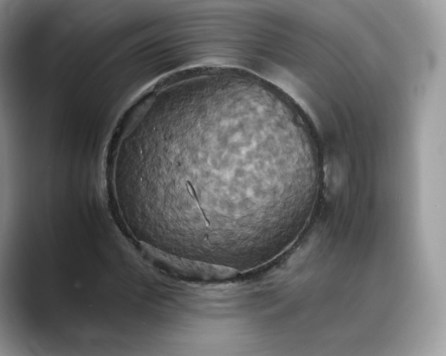 X0000089730972200707051736