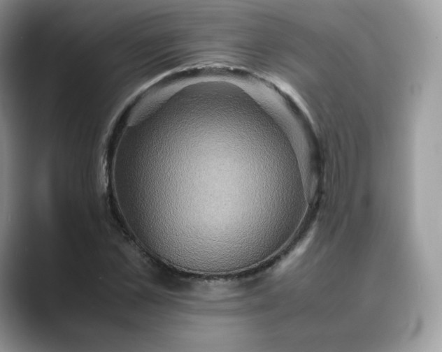 X0000089730973200707051736