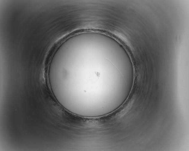 X0000089730974200707051736
