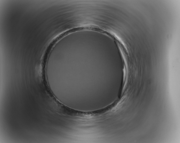 X0000089730975200707051736