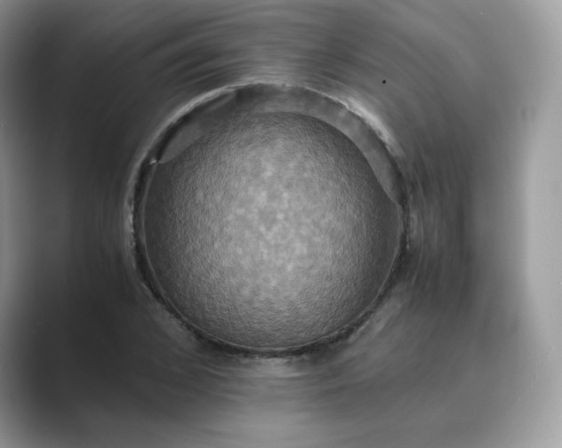 X0000089730976200707051736
