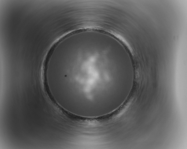 X0000089730983200707051736