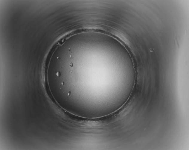 X0000089730984200707051736