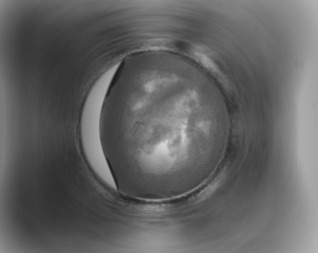 X0000089730985200707051736