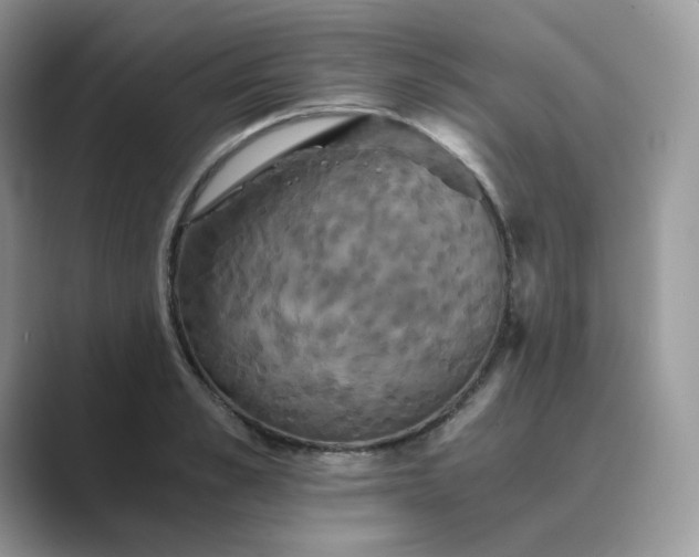 X0000089730989200707051736